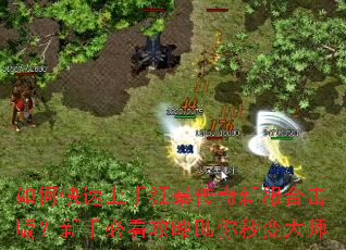 如何快速上手狂暴传奇新服合击版?新手必看攻略助你秒变大师 如何快速上手狂暴传奇新服合击版?新手必看攻略助你秒变大师