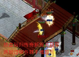 ��Ѫ�ع鴫���·���������������Щ�������⣿