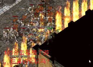185合击私服手游,你真的会玩吗? 185合击私服手游,你真的会玩吗?