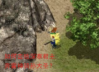 如何击败深寒君主奔雷神骑孙大圣? 如何击败深寒君主奔雷神骑孙大圣?