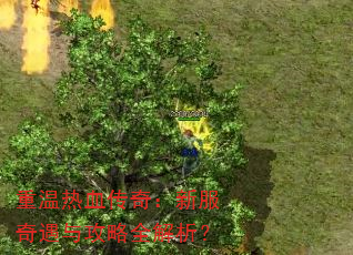 ������Ѫ���棺�·������빥��ȫ������