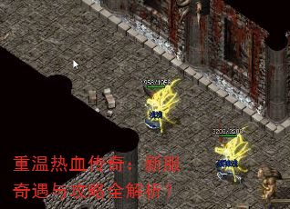 ������Ѫ���棺�·������빥��ȫ������