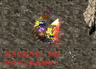 ������Ѫ���棺�·������빥��ȫ������