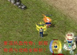������Ѫ���棺�·������빥��ȫ������