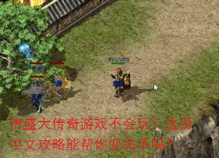 ��ʢ������Ϸ�����棿������Ĺ����ܰ���������