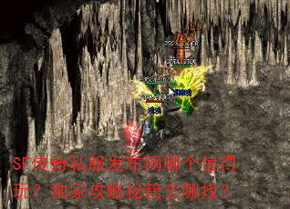 SF����˽���������ĸ�ֵ���棿���ҹ����ؼ�ȥ���ң�