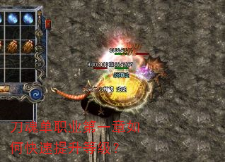 ���굥ְҵ��һ����ο��������ȼ���