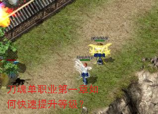 ���굥ְҵ��һ����ο��������ȼ���