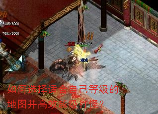 ���ѡ���ʺ��Լ��ȼ��ĵ�ͼ����ЧԽ����֣�