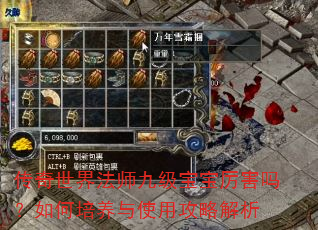 �������編ʦ�ż��������������������ʹ�ù��Խ���