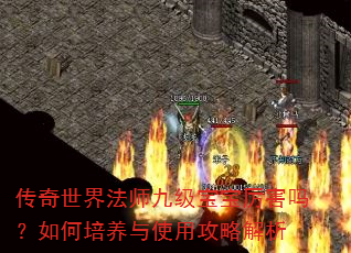 �������編ʦ�ż��������������������ʹ�ù��Խ���