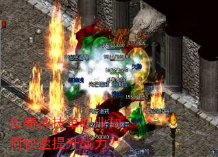 �����񼼵�ְҵ��ο�������ս����