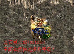 流云第二城105105王重阳如何快速提升等级? 流云第二城105105王重阳如何快速提升等级?