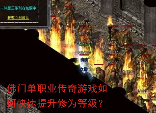 ���ŵ�ְҵ������Ϸ��ο���������Ϊ�ȼ���