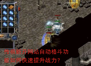 �����¿���վ�Զ��񶷹�����ο�������ս����