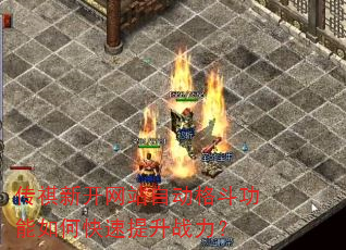 �����¿���վ�Զ��񶷹�����ο�������ս����