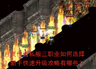 ���鴫��˽����ְҵ���ѡ�����ֿ���������������Щ��