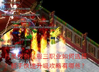 ���鴫��˽����ְҵ���ѡ�����ֿ���������������Щ��