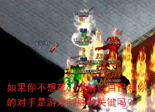 ����㲻�������˽����Լ�����Ķ�������Ϸ��ʤ�Ĺؼ���