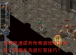 如何快速提升传奇游戏角色等级?有哪些高效打宝技巧? 如何快速提升传奇游戏角色等级?有哪些高效打宝技巧?