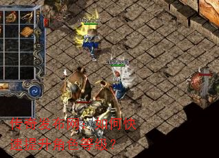 传奇发布网:如何快速提升角色等级? 传奇发布网:如何快速提升角色等级?