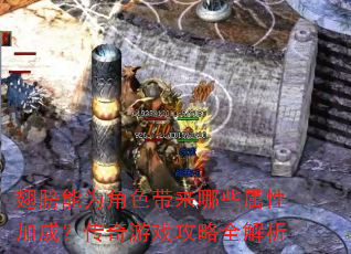 翅膀能为角色带来哪些属性加成?传奇游戏攻略全解析 翅膀能为角色带来哪些属性加成?传奇游戏攻略全解析