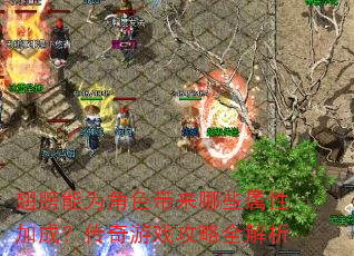 翅膀能为角色带来哪些属性加成?传奇游戏攻略全解析 翅膀能为角色带来哪些属性加成?传奇游戏攻略全解析