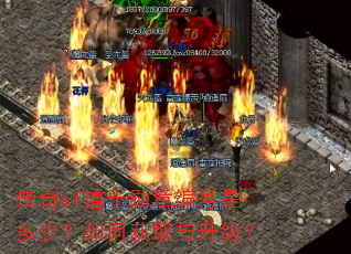 传奇sf道士勋章编号是多少?如何获取与升级? 传奇sf道士勋章编号是多少?如何获取与升级?