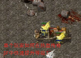 单个玩家如何在热血传奇SF中快速提升等级? 单个玩家如何在热血传奇SF中快速提升等级?