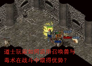 ��ʿ�����������ٻ����붾����ս����ȡ�����ƣ�