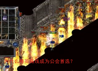 为什么精英路线成为公会首选? 为什么精英路线成为公会首选?