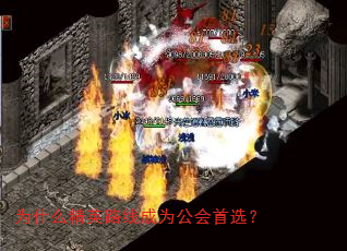 为什么精英路线成为公会首选? 为什么精英路线成为公会首选?