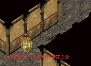 未知黑暗大厅中的小鸡存在之谜 未知黑暗大厅中的小鸡存在之谜
