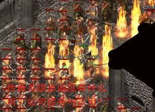 ����Ӣ���ҳ϶���ʲô�ã�������������ã�