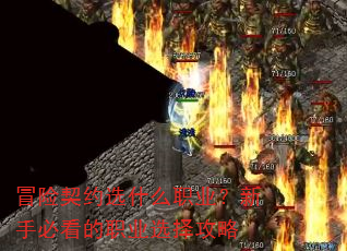 ð����Լѡʲôְҵ�����ֱؿ���ְҵѡ����