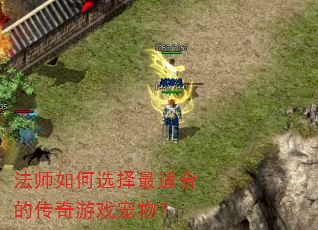 法师如何选择最适合的传奇游戏宠物? 法师如何选择最适合的传奇游戏宠物?