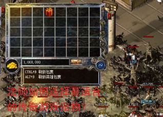 法师如何选择最适合的传奇游戏宠物? 法师如何选择最适合的传奇游戏宠物?