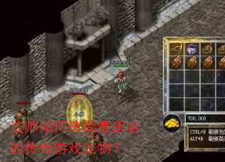 法师如何选择最适合的传奇游戏宠物? 法师如何选择最适合的传奇游戏宠物?
