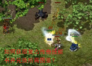 ��λ�ȡ���Ŵ��漼���鲢�һ�����ͼ����