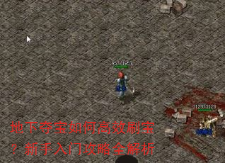 地下夺宝如何高效刷宝?新手入门攻略全解析 地下夺宝如何高效刷宝?新手入门攻略全解析