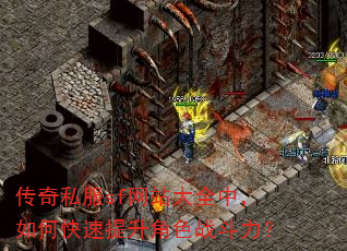 传奇私服sf网站大全中,如何快速提升角色战斗力? 传奇私服sf网站大全中,如何快速提升角色战斗力?