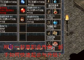 �տ�һ�뵥ְҵ���棬������ο�������������