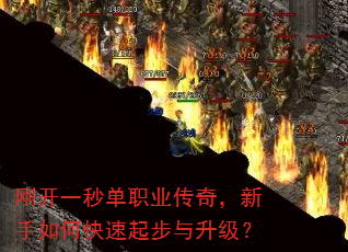 �տ�һ�뵥ְҵ���棬������ο�������������