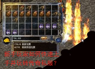 新手玩家如何快速上手并玩转传奇私服? 新手玩家如何快速上手并玩转传奇私服?