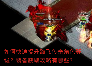 如何快速提升路飞传奇角色等级?装备获取攻略有哪些? 如何快速提升路飞传奇角色等级?装备获取攻略有哪些?