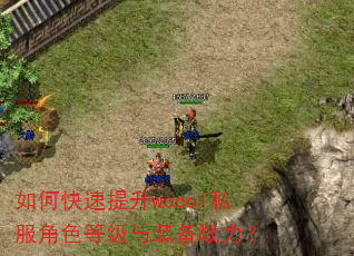 如何快速提升woool私服角色等级与装备战力? 如何快速提升woool私服角色等级与装备战力?