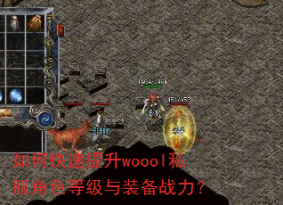 如何快速提升woool私服角色等级与装备战力? 如何快速提升woool私服角色等级与装备战力?