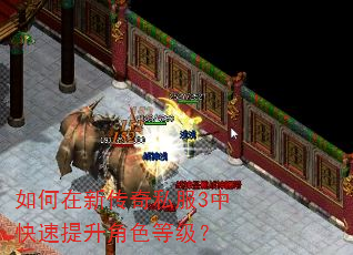 如何在新传奇私服3中快速提升角色等级? 如何在新传奇私服3中快速提升角色等级?
