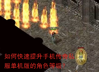 如何快速提升手机传奇私服单机版的角色等级? 如何快速提升手机传奇私服单机版的角色等级?