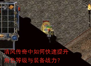 ��紫������ο���������ɫ�ȼ���װ��ս����